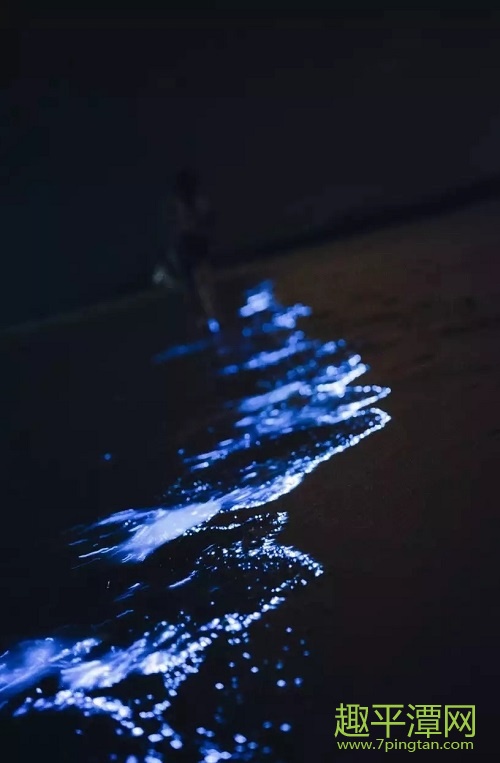 平潭藍(lán)眼淚