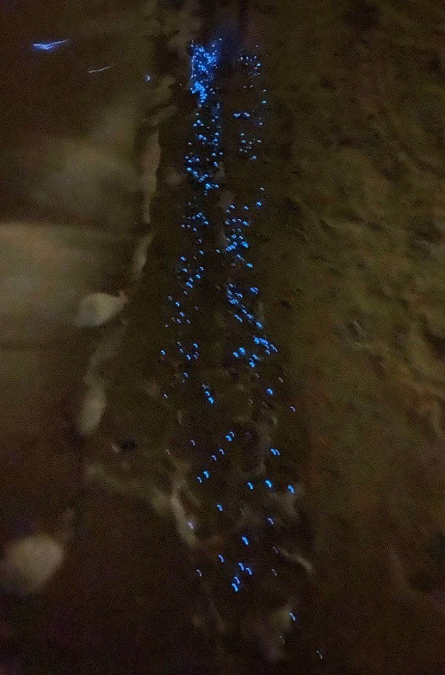 6.24平潭藍眼淚